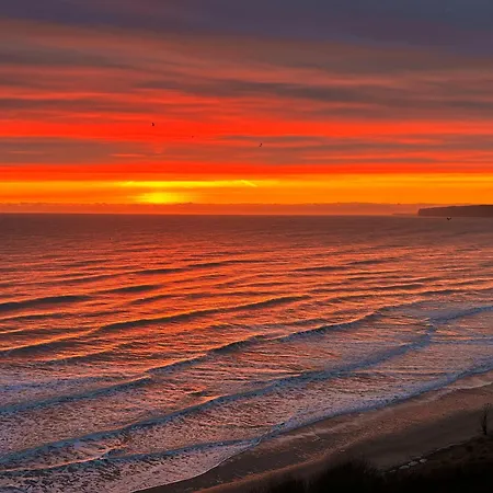 Вилла House Файли